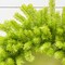 30" Lime Green Wreath Large Decorative Wreath for Front Door, Wall or Seasonal Home Decor